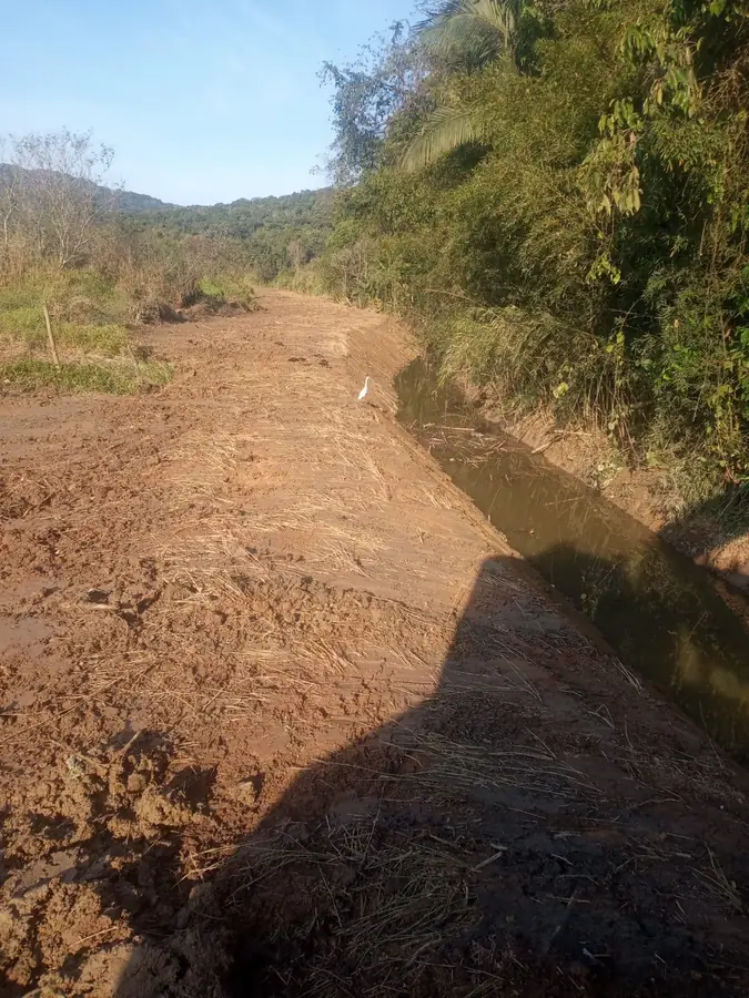 Intervenção em área verde